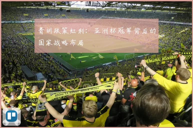 青训政策红利：亚洲杯冠军背后的国家战略布局
