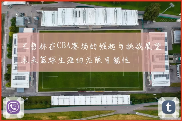 王哲林在CBA赛场的崛起与挑战展望未来篮球生涯的无限可能性