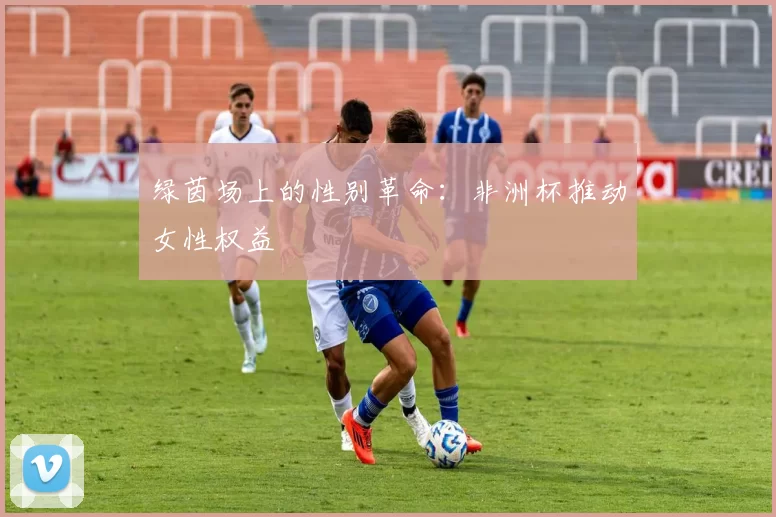 绿茵场上的性别革命：非洲杯推动女性权益