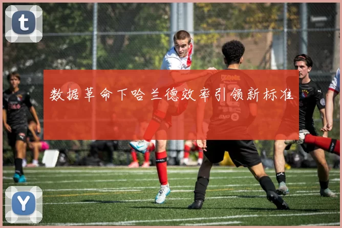 数据革命下哈兰德效率引领新标准